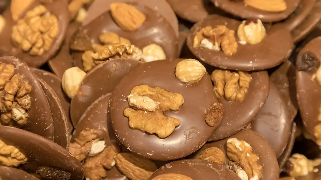 Chocolate with walnuts